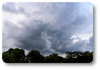 rechauffement climatique